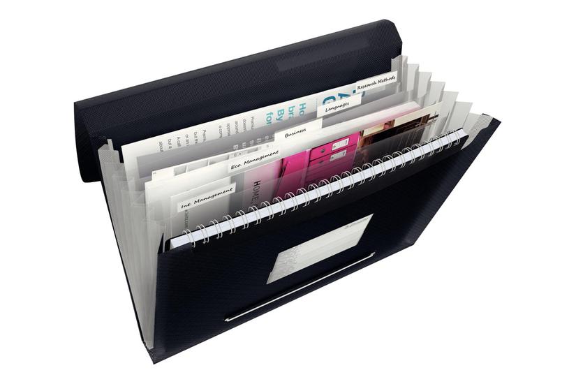 Esselte Vivida A4 Dokumentmappe – 300 Ark – Sort Tilbud!