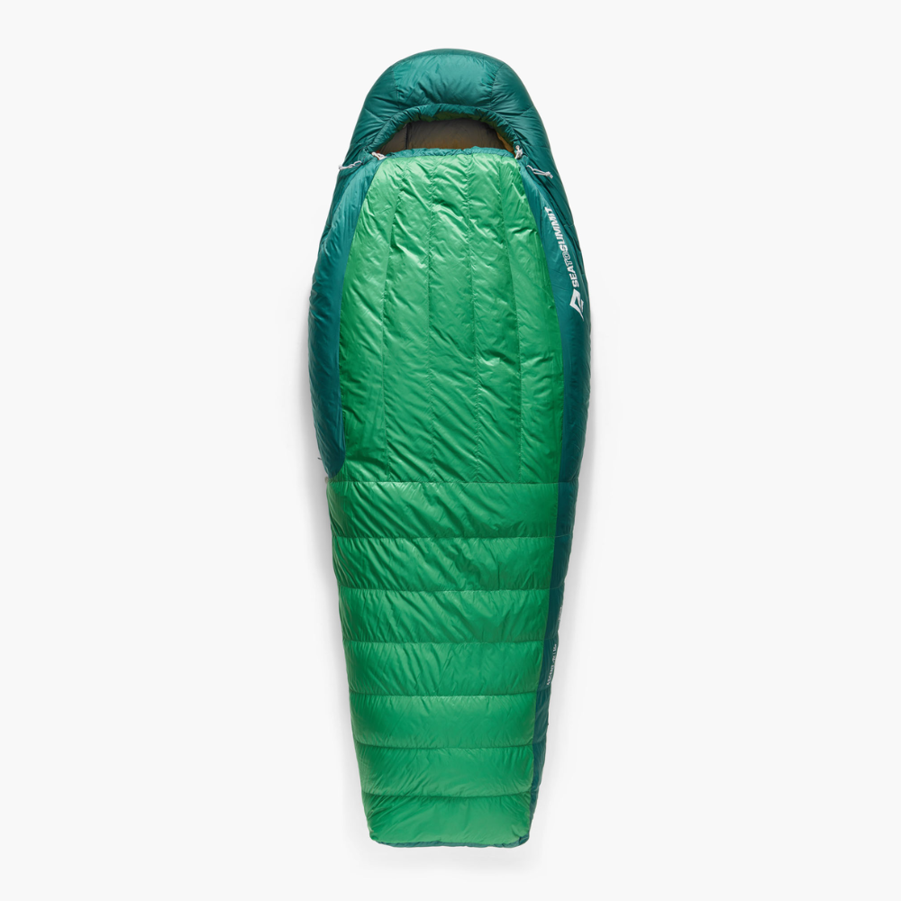 Sea To Summit Ascent -9c Down Sleeping Bag Regular Rain Forest Green  Vintersovepose - Large - Rain Forest Green